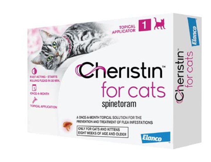 cheristin for cats