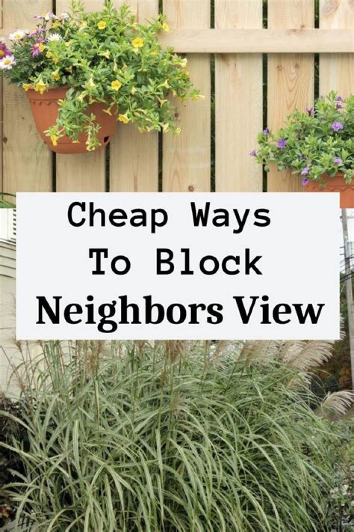 cheap ways to block neighbors view