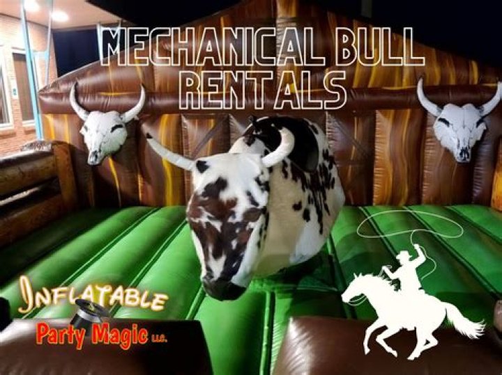 mechanical bull for sale