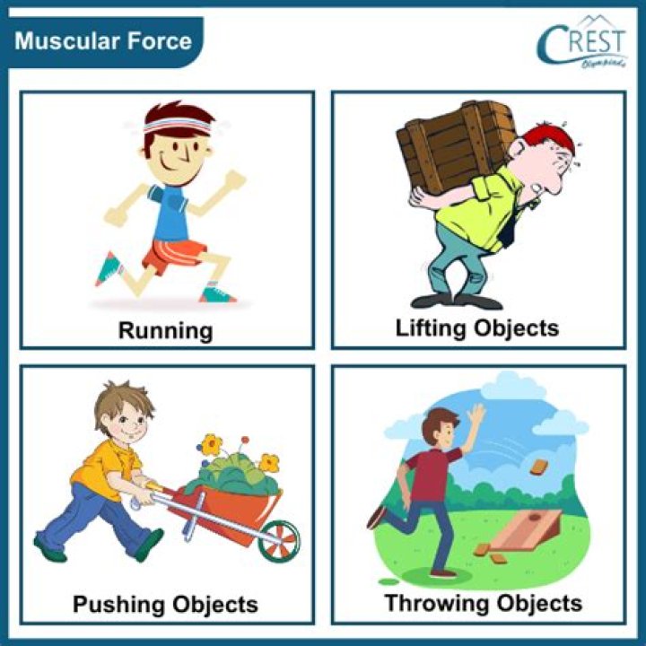 muscle strengthening activities