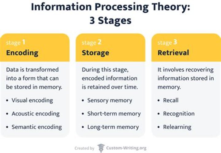 information processing theory