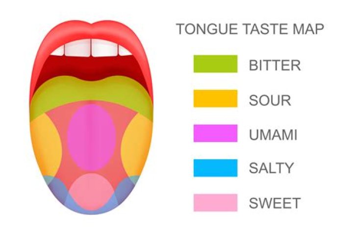 how many taste buds do humans have