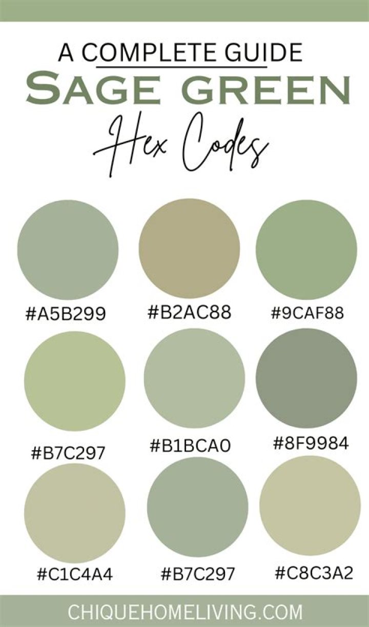 sage green hex code