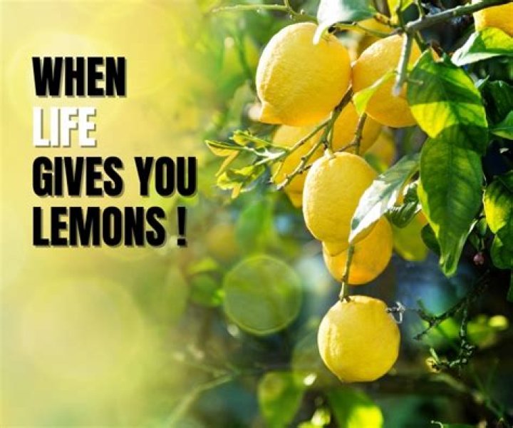when life gives you lemons