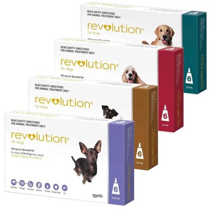 revolution for dogs