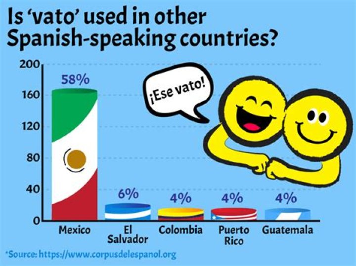 what does vato mean in spanish