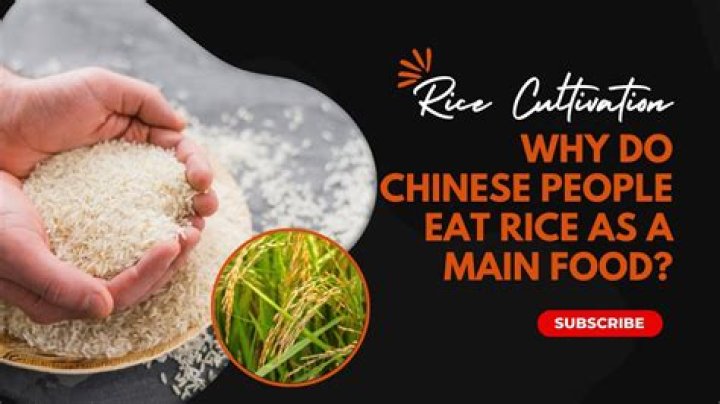 is rice bad for you